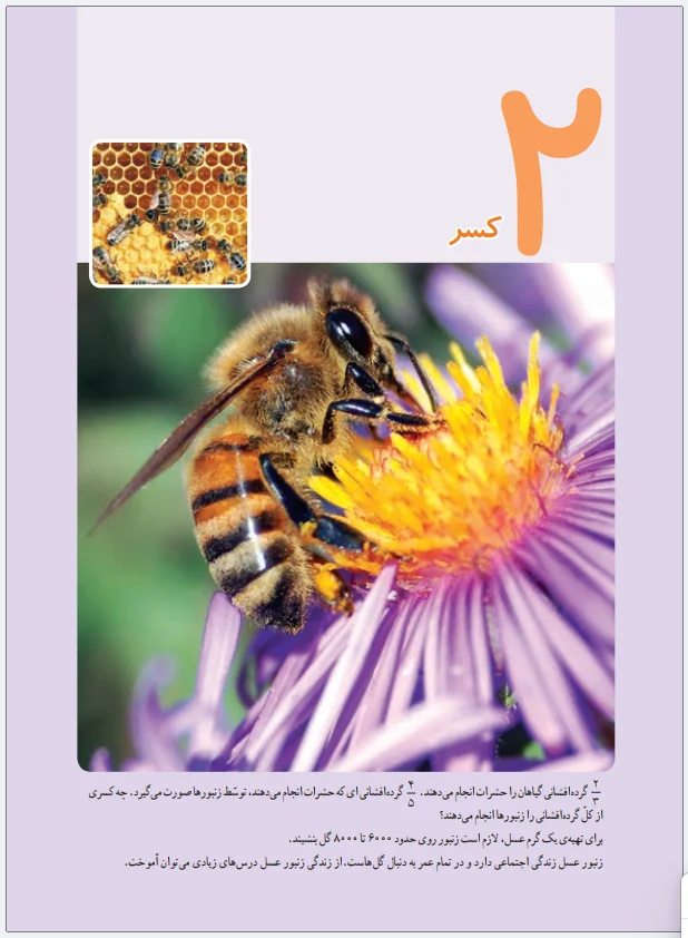 فصل دوم ریاضی پنجم-کسر